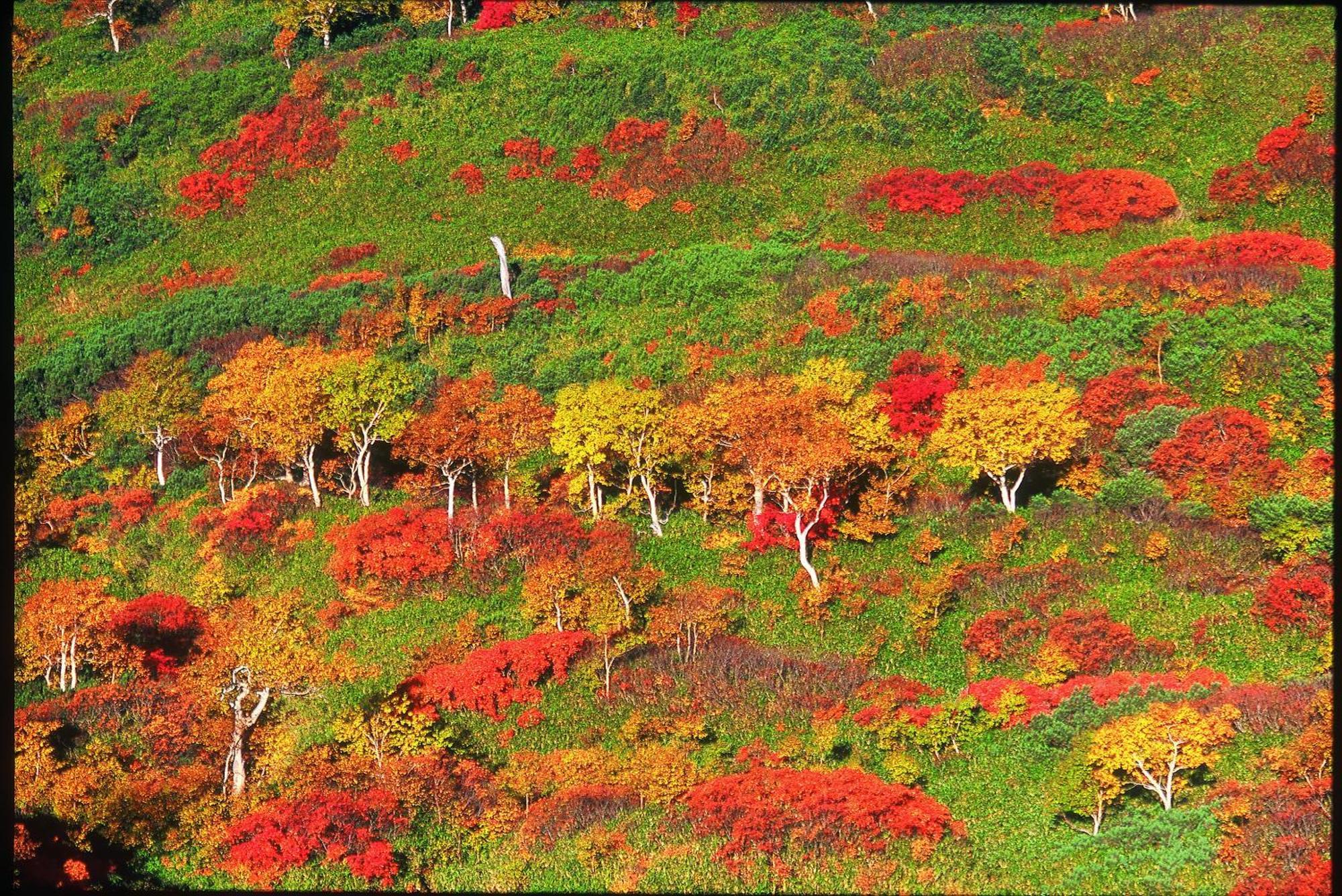 La Vista Daisetsuzan Hotel Higashikawa Bagian luar foto